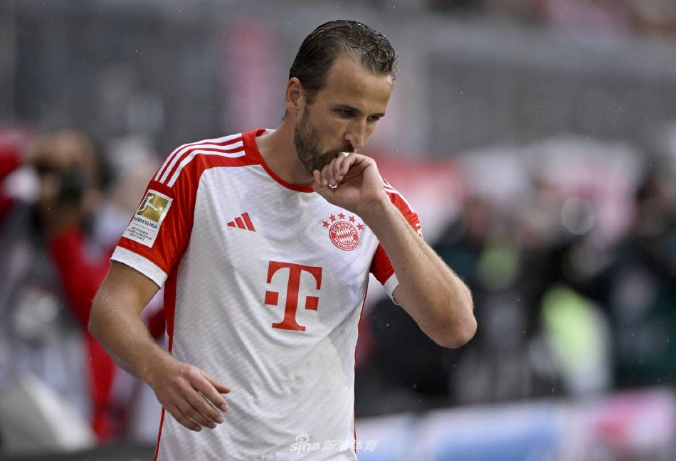 作为主打动 作为主打动